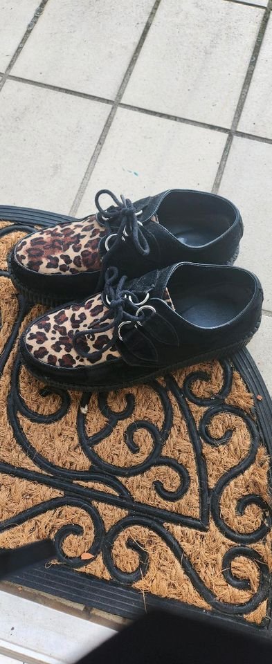Leo Creeper Schuhe abzugeben