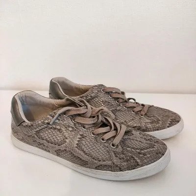 Sneaker Turnschuhe Schlangen-Print